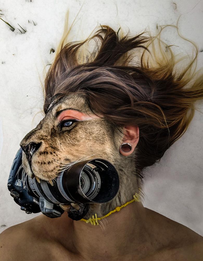 LION ZION LION ZION (FOTOZ)